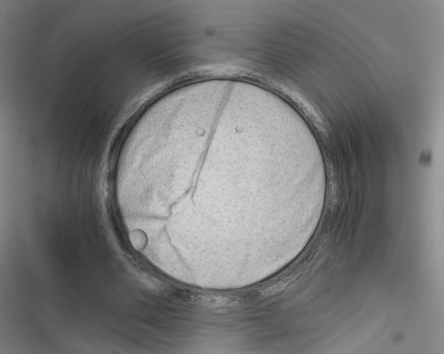 X0000116640486201001251139