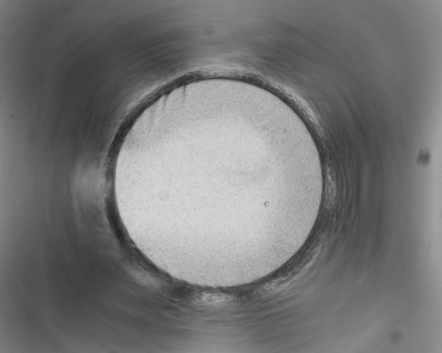 X0000116640487201001251139