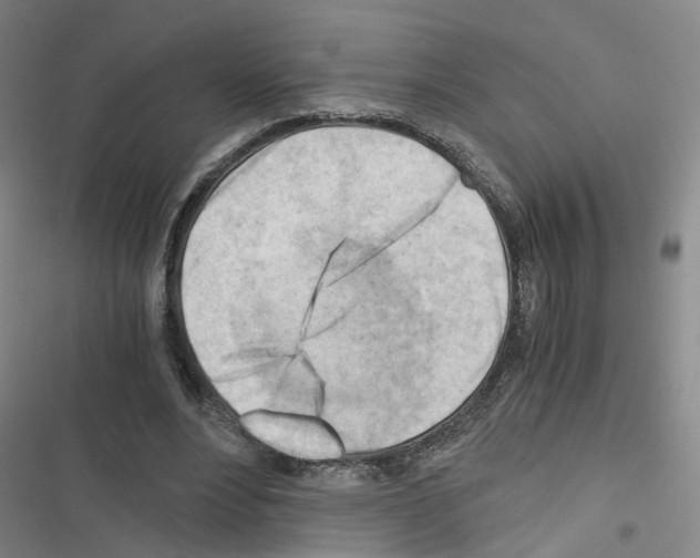 X0000116640488201001251139