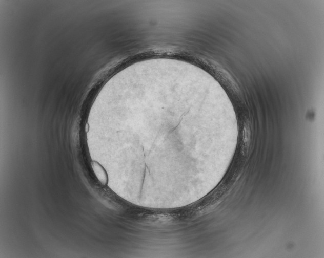 X0000116640492201001251139