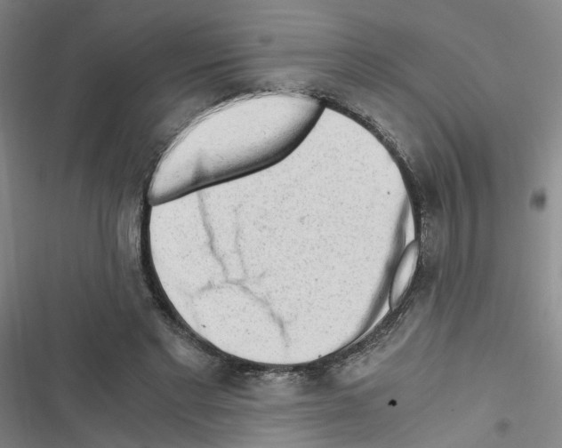 X0000116640493201001251139