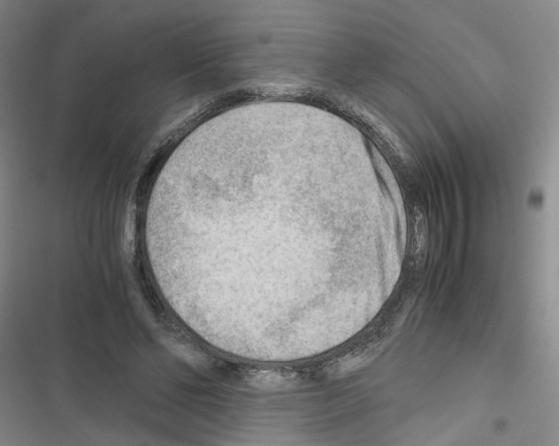 X0000116640494201001251139