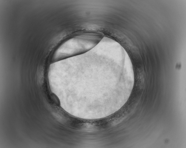 X0000116640496201001251139