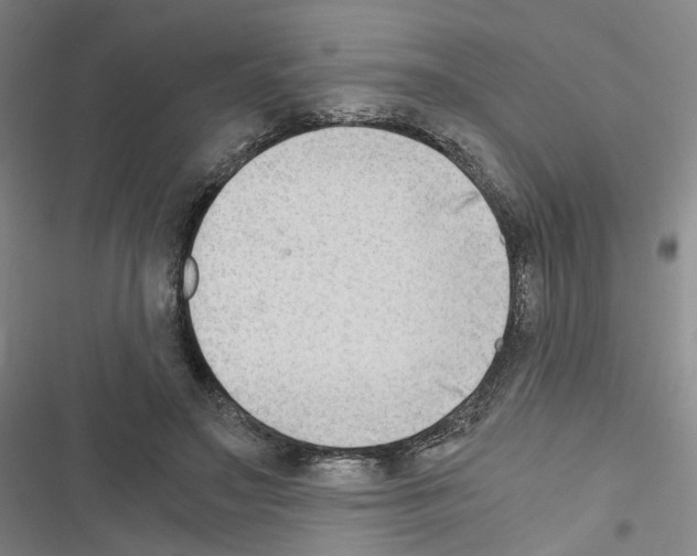 X0000116640499201001251139