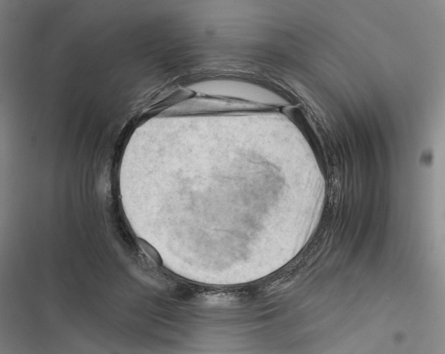 X0000116640500201001251139