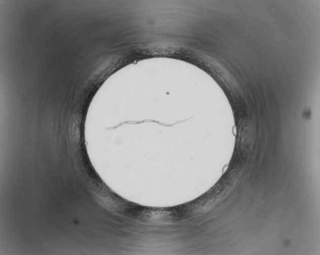 X0000116640501201001251139