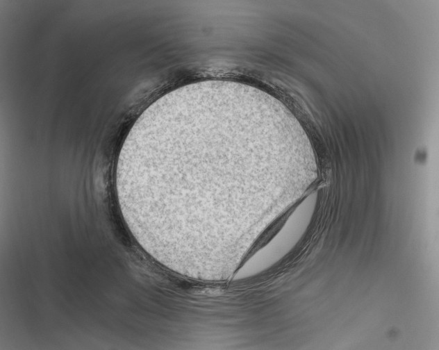 X0000116640503201001251139