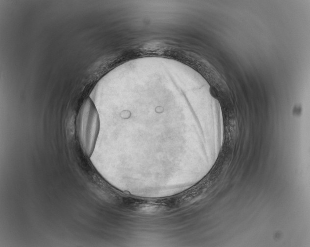 X0000116640504201001251139