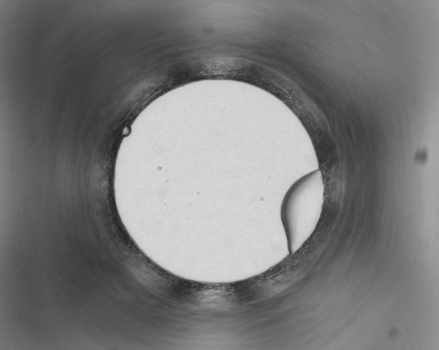 X0000116640505201001251139