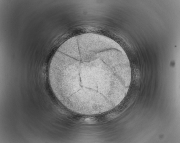 X0000116640506201001251139