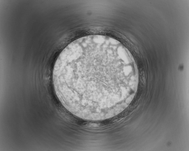 X0000116640507201001251139