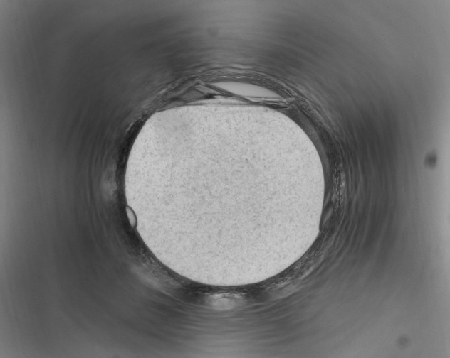 X0000116640508201001251139