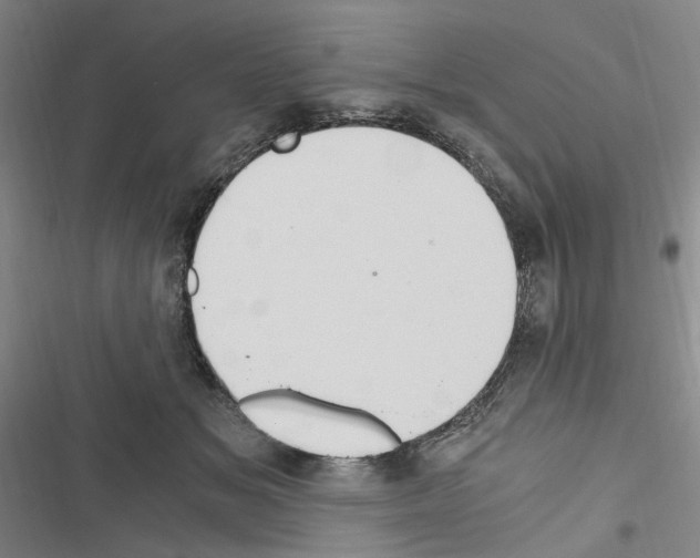 X0000116640509201001251139