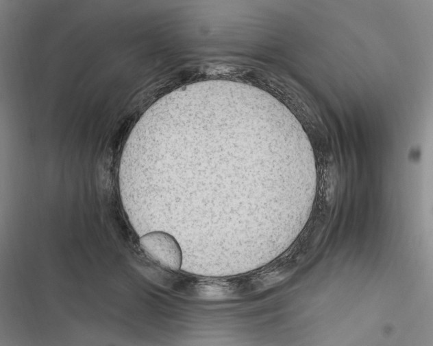 X0000116640510201001251139