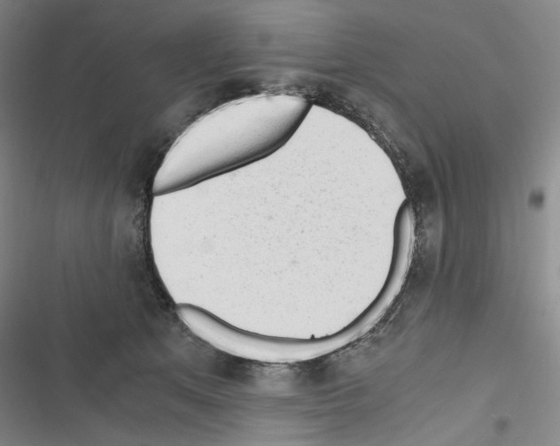 X0000116640513201001251139