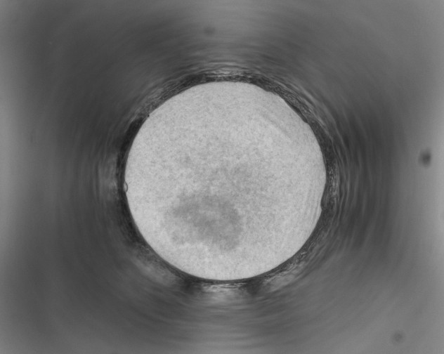 X0000116640516201001251138