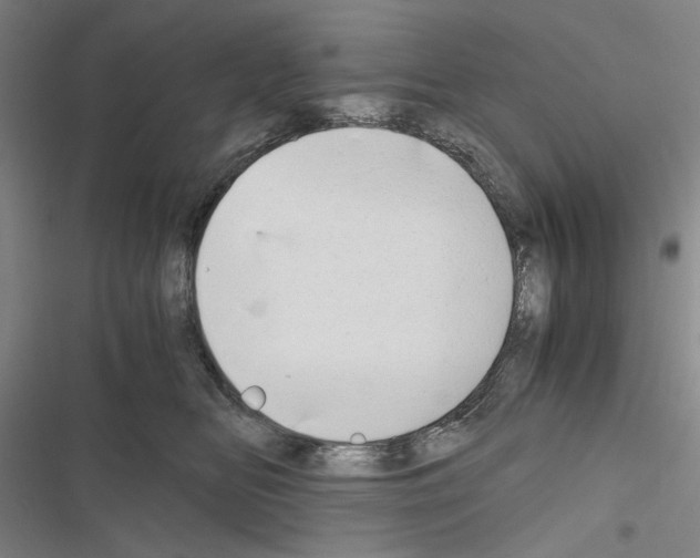 X0000116640518201001251138