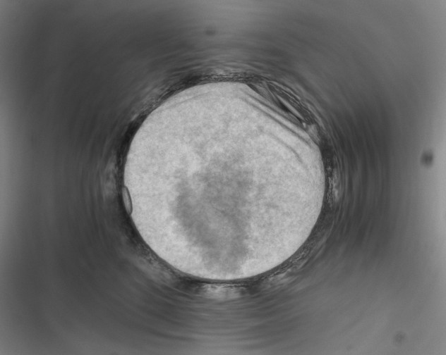 X0000116640520201001251138