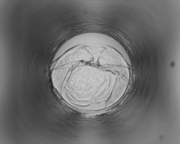 X0000116640524201001251138