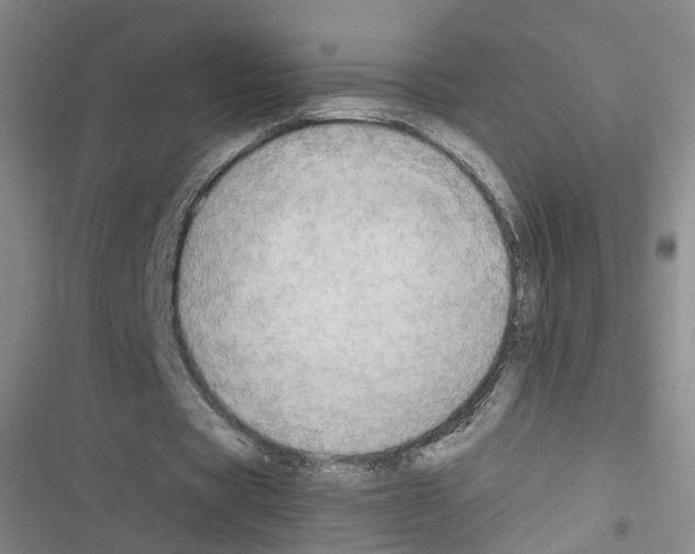 X0000116640529201001251138