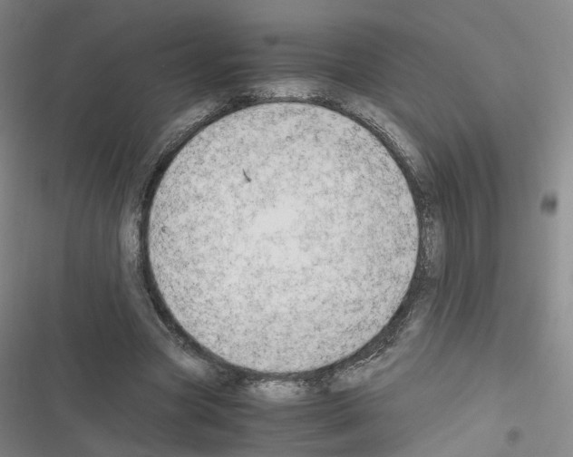 X0000116640537201001251138