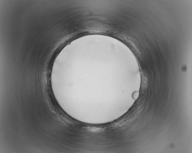 X0000116640539201001251138