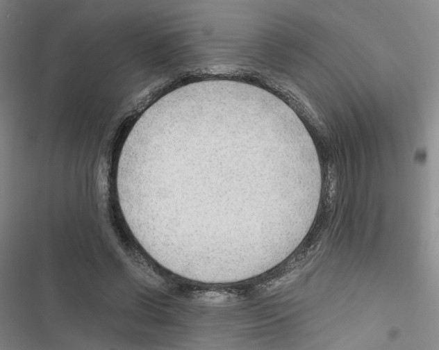 X0000116640542201001251138