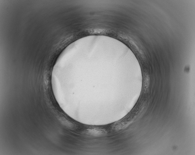 X0000116640545201001251138