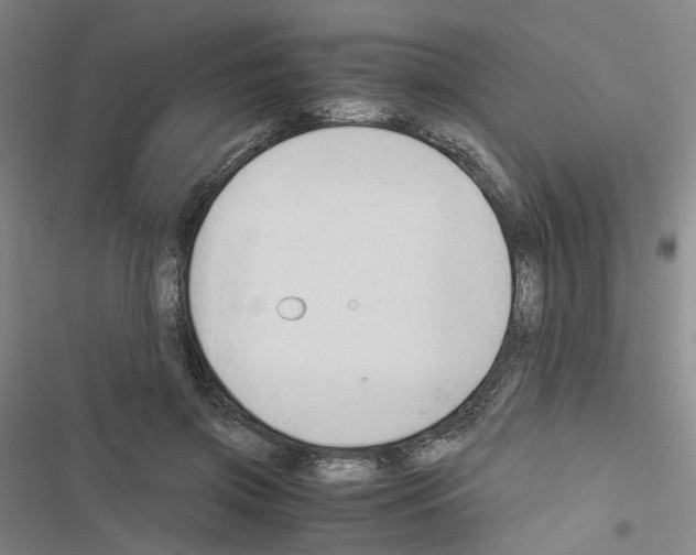 X0000116640549201001251138