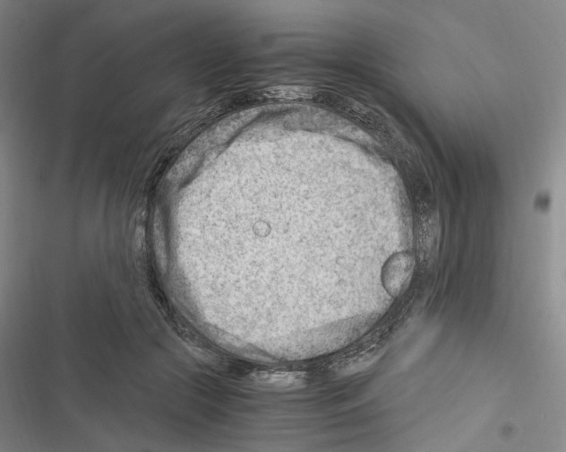 X0000116640553201001251138