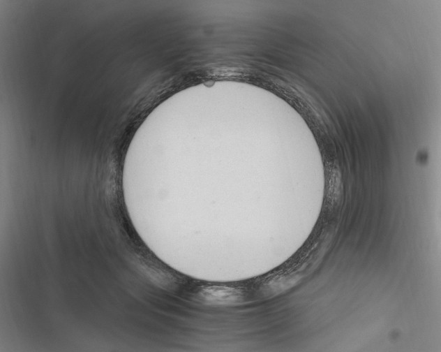 X0000116640557201001251138