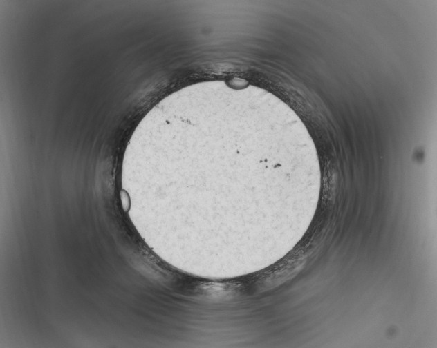 X0000116640558201001251138