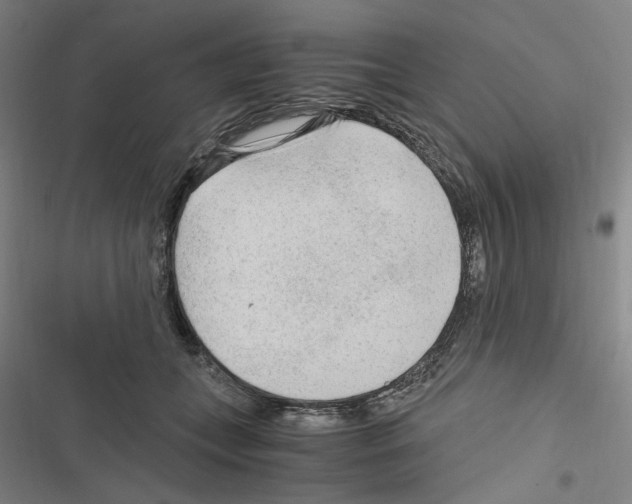 X0000116640559201001251138