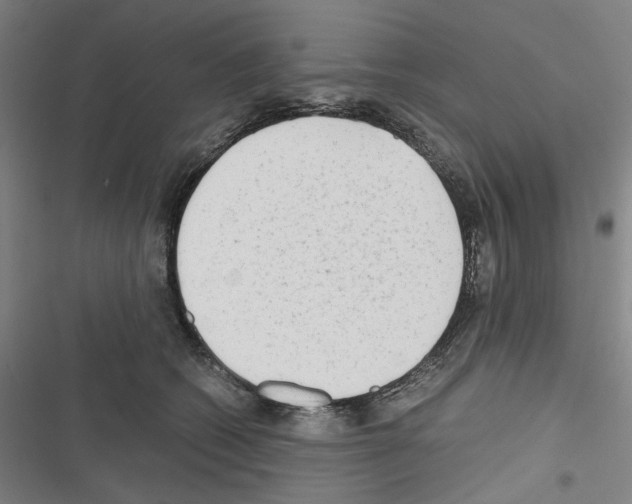 X0000116640562201001251138