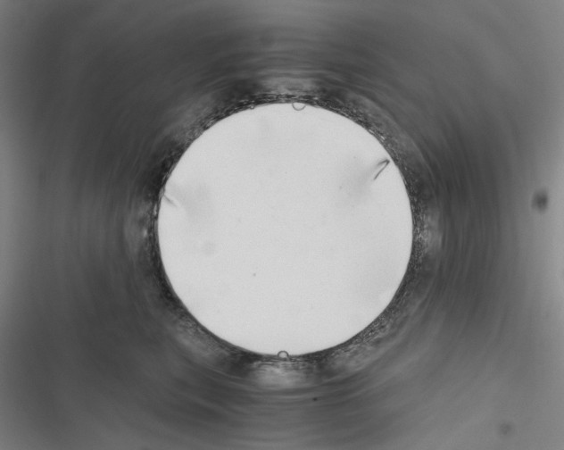 X0000116640567201001251138