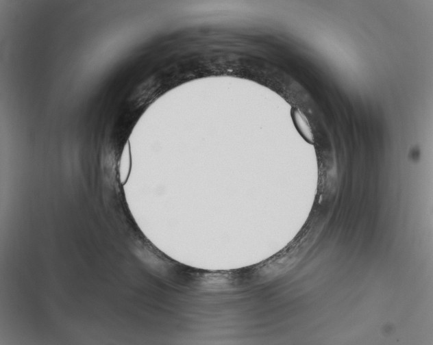 X0000116640574201001251138