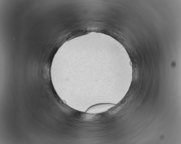 X0000116640575201001251138