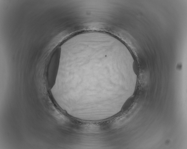 X0000116640577201001251138