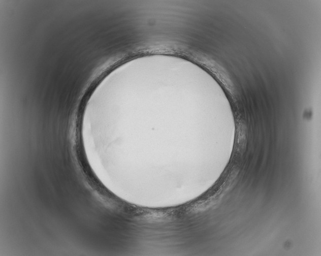 X0000116640578201001251138