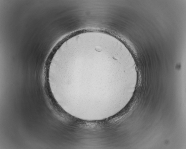 X0000116640580201001251138