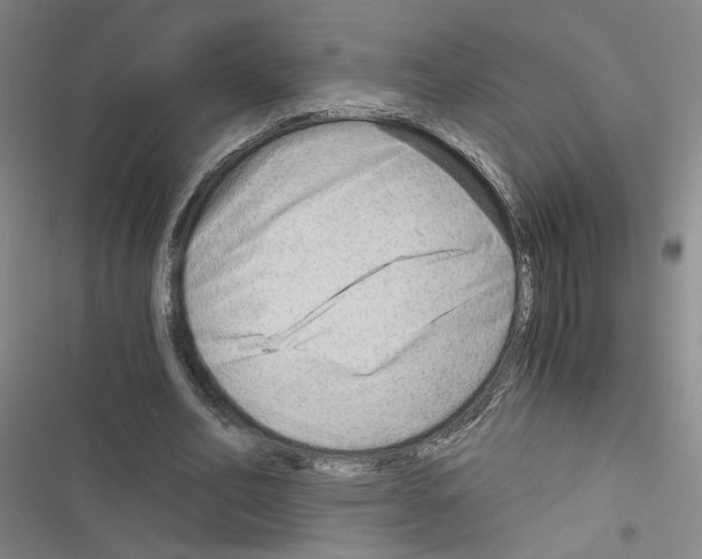 X0000116640582201001251138