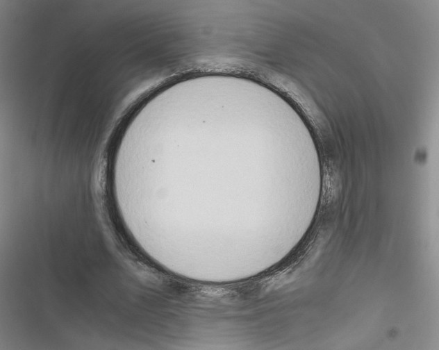 X0000116640583201001251138