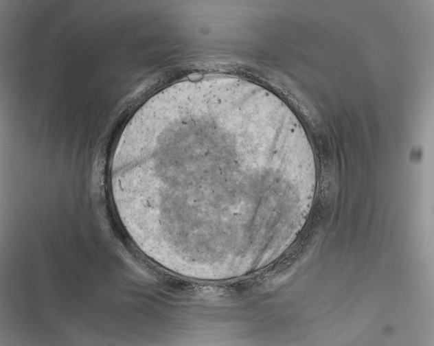 X0000116640585201001251138