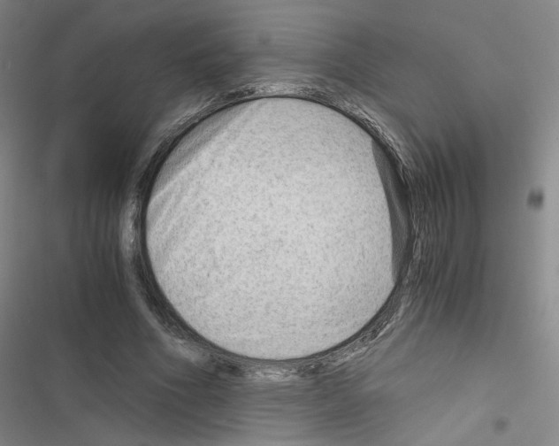 X0000116640586201001251138