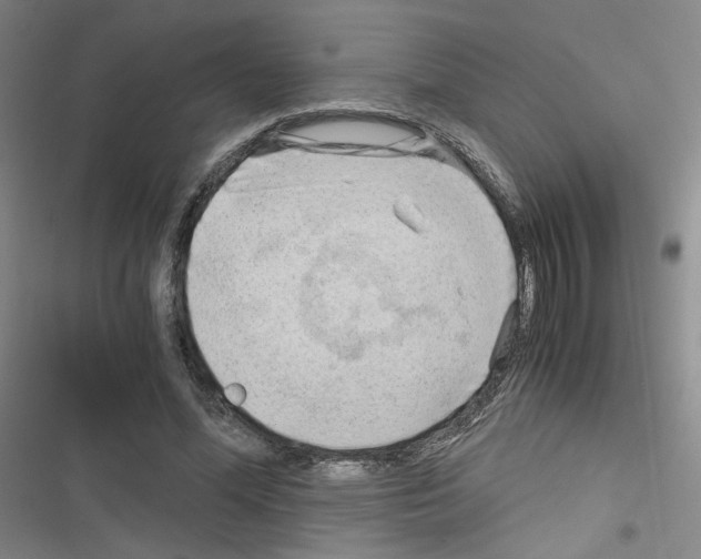 X0000116640588201001251138