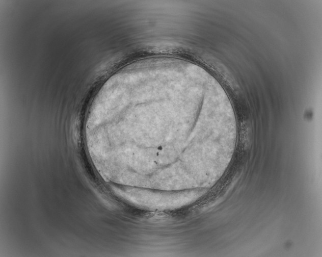 X0000116640589201001251137