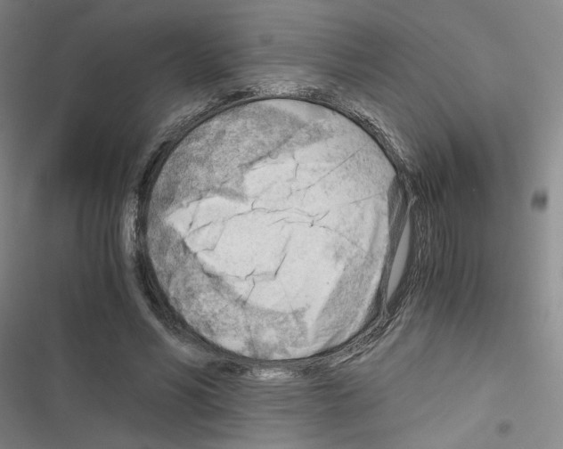 X0000116640590201001251137