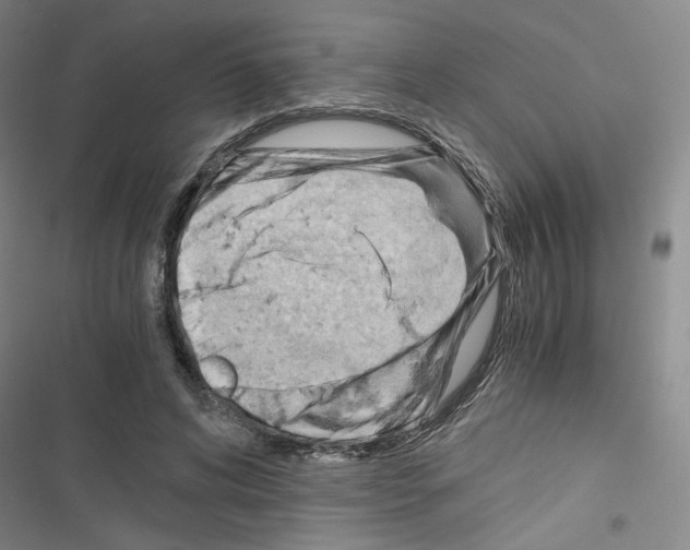 X0000116640592201001251137