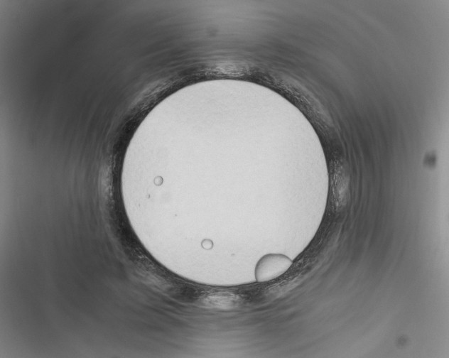 X0000116640595201001251137