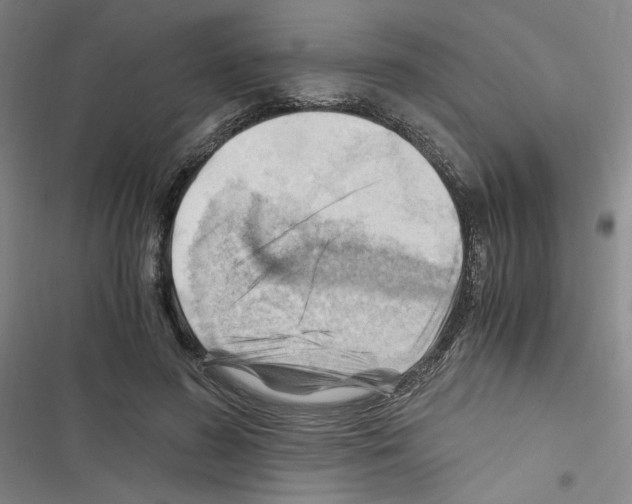 X0000116640596201001251137